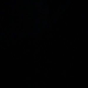 Meet your Posher, Bri